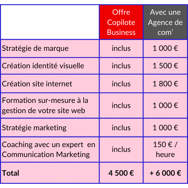 offre copilote business